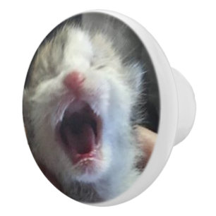 Freddie Ceramic Knob