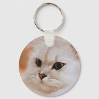 Freddie ~ Chinchilla Persians Key Ring