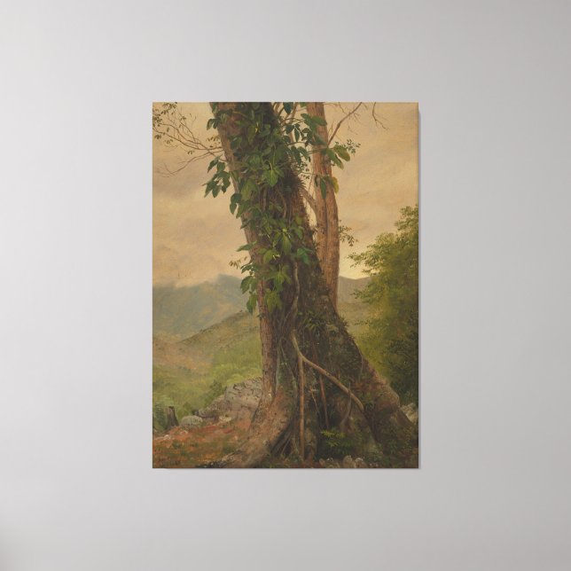 Frederic Edwin Church - Tree trunk Canvas Print (Front)