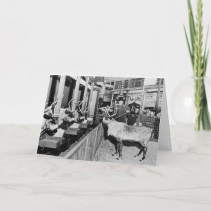 Frederick & Nelson Christmas Window Holiday Card