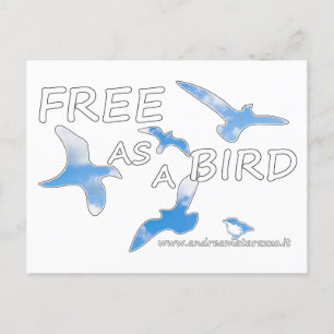 Free as a Bird Postcard