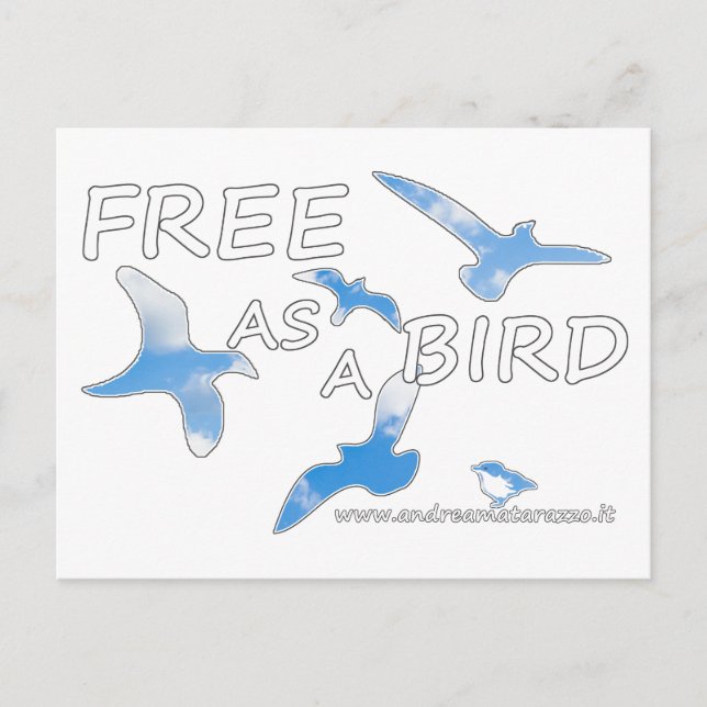 Free as a Bird   Postcard (Front)