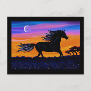 Free As The Wind Postcard