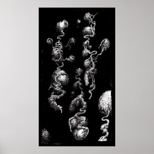 Free-floating Aberrations Poster