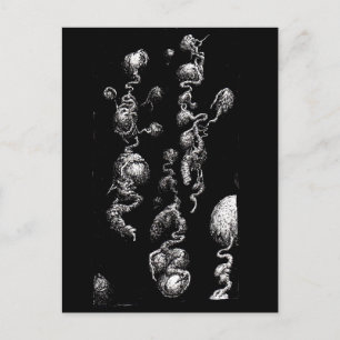 Free-floating Organic Aberrations Postcard