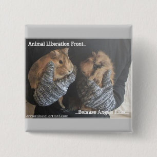 Free Guinea Pigs 15 Cm Square Badge