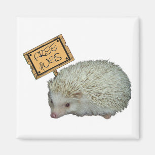 Free Hugs Hedgehog Magnet