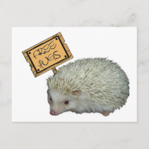 Free Hugs Hedgehog Postcard