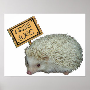 Free Hugs Hedgehog Poster