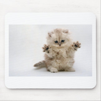 Free Hugs Kitten Mouse Mat