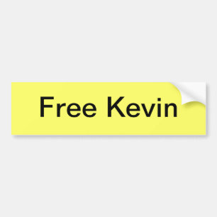Free Kevin Mitnick bumper sticker