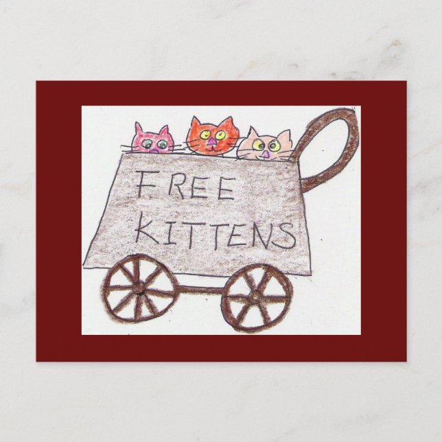 free kittens Postcard (Front)