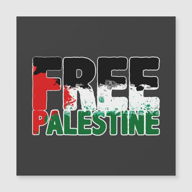 Free Palestine End Apartheid stop war  (Front)