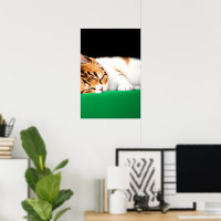  FREE PALESTINE Flag Cat