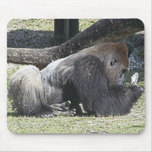 Free Poker Lessons Mouse Mat