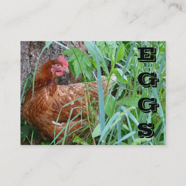 Free Range EGGS chicken business card (Front)