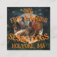FREE ROAMING SESSO DOGS HOLYOKE MA MASSUCHUSETTS