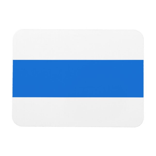 Free Russia new flag Magnet (Horizontal)