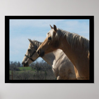 Free Spirit, Horse Lover's Poster - Large