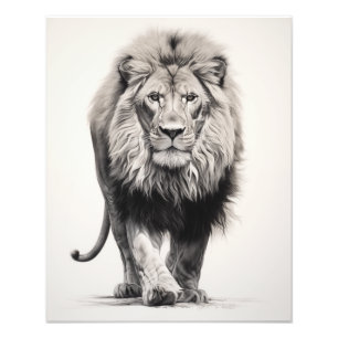 Free Spirit Lion Black and White Photo Print