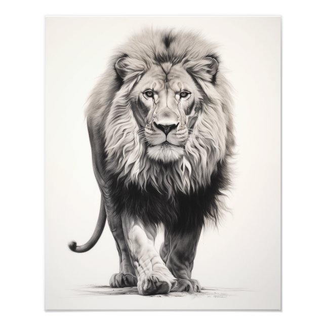 Free Spirit Lion Black and White Photo Print (Front)
