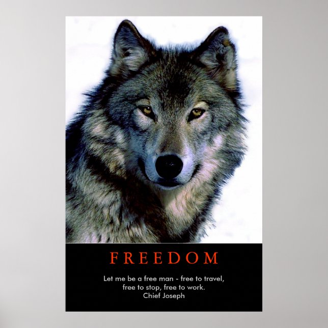 Free Spirit Motivational Wolf Eyes Poster Print (Front)