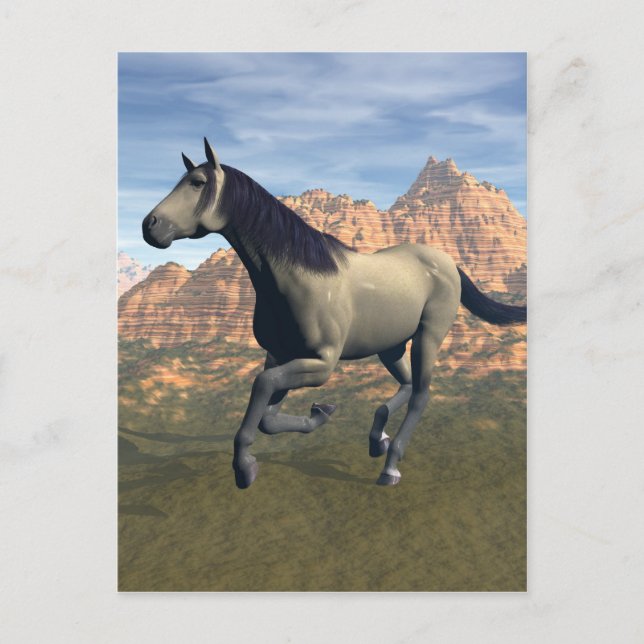 Free Spirit Postcard (Front)