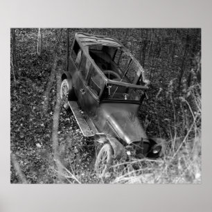 Free Sunroof: 1922 Poster