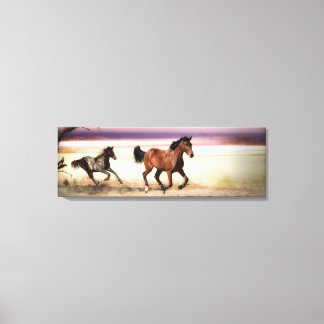 FREE TO BE WILD CANVAS PRINT