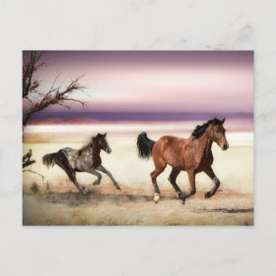 FREE TO BE WILD RUNNING HORSES POSTCARD