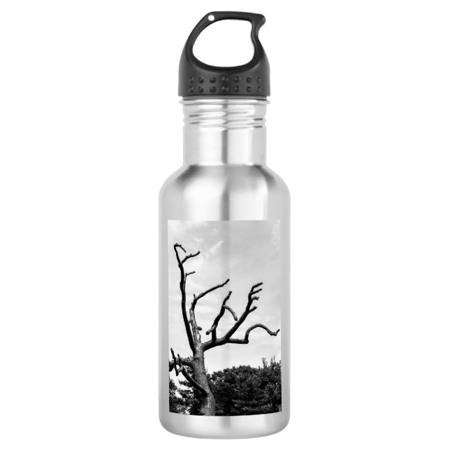 free tree 532 ml water bottle (Front)