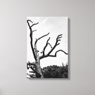 free tree canvas print