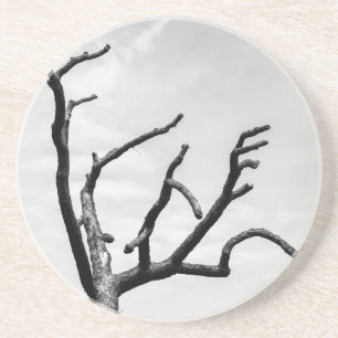 free tree coaster