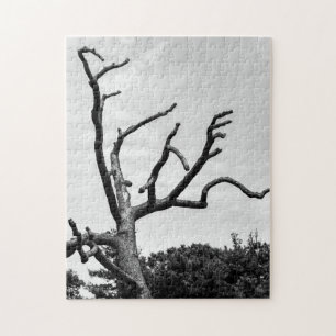 free tree jigsaw puzzle