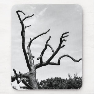 free tree mouse mat