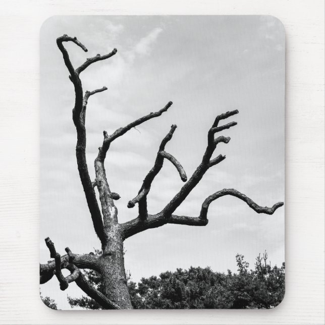 free tree mouse mat (Front)