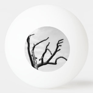 free tree ping pong ball