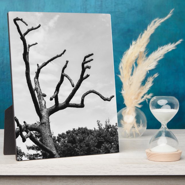 free tree plaque (Side)