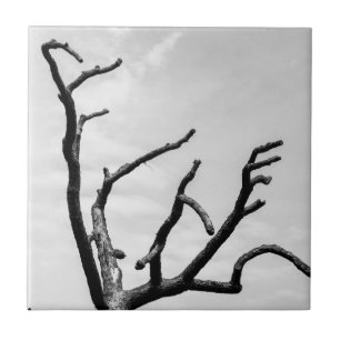 free tree tile