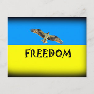Free Ukraine  Print Postcard