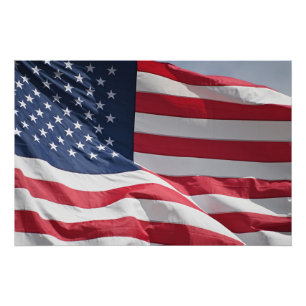 Freedom American flag waving in the breeze Poster