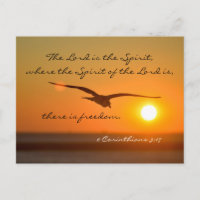 Freedom Bible Verse, Bird Flying at Sunset Custom