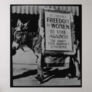 Freedom For Women Poster