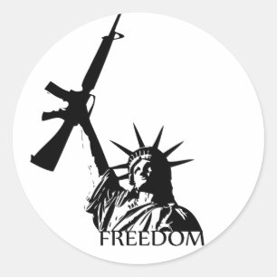 Freedom - Got guns? Classic Round Sticker
