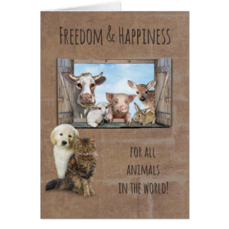 Freedom & Happiness for all Animals in the World