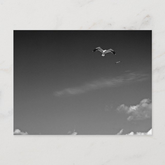 Freedom in BW Postcard (Front)