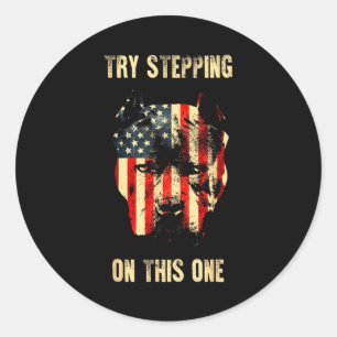 Freedom independence 4th of july usa flag patrioti classic round sticker