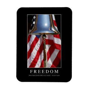 Freedom: Inspirational Quote 1 Magnet