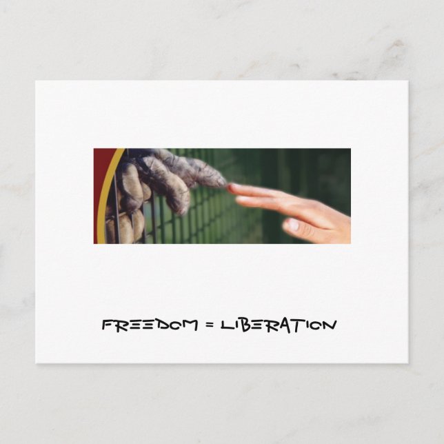 Freedom = Liberation Postcard (Front)
