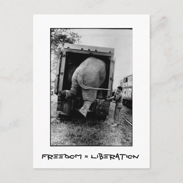 Freedom = Liberation Postcard (Front)